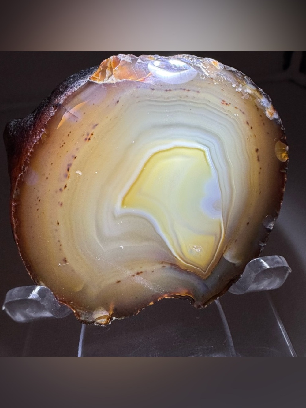 Natural Agate Geode Slice Polished Banded Crystal Display w Stand